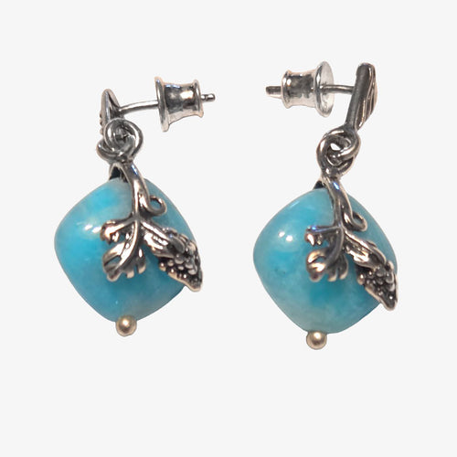 Sterling Silver & Turquoise Earrings